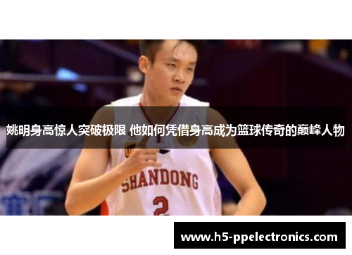 姚明身高惊人突破极限 他如何凭借身高成为篮球传奇的巅峰人物